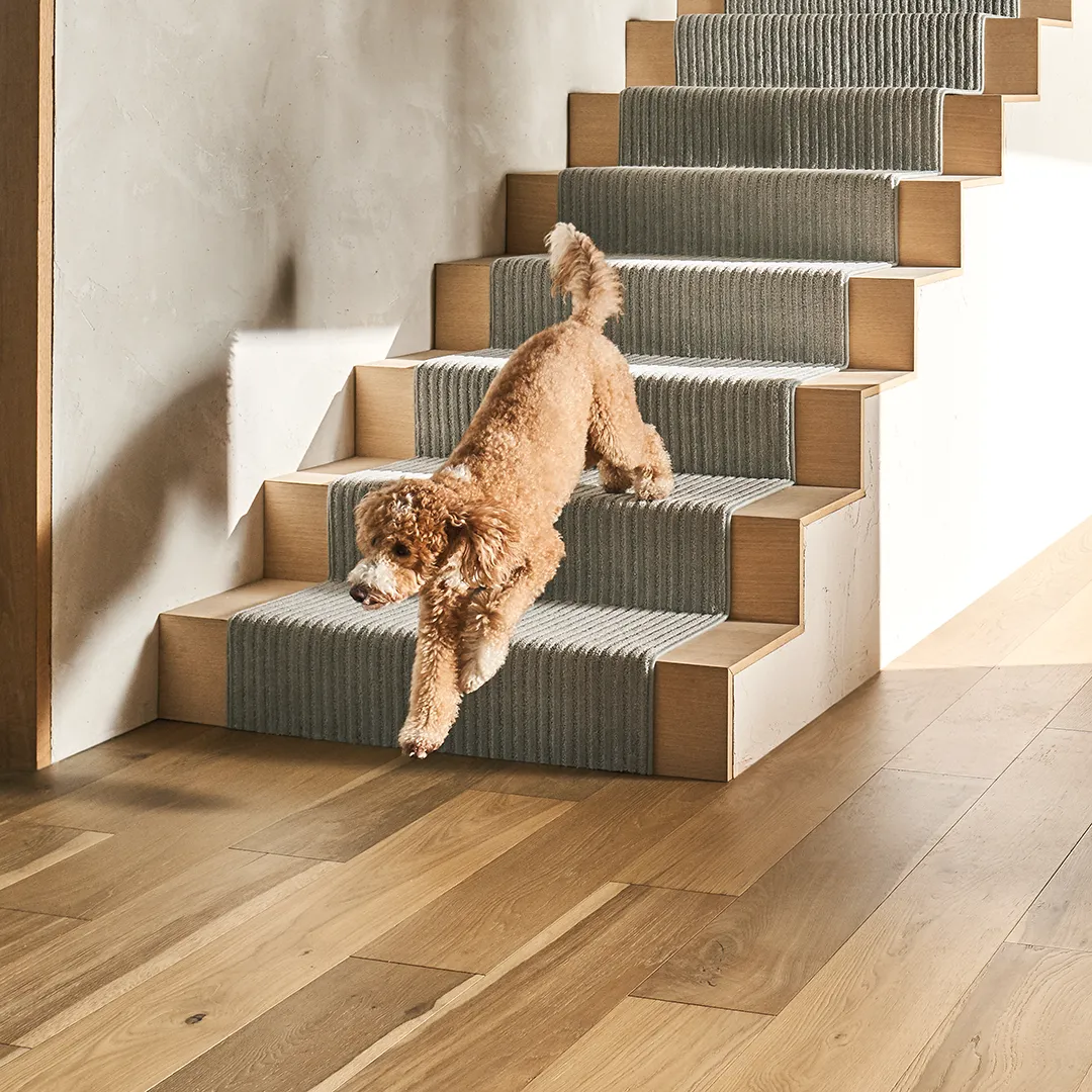 Stair Runner | Vic's Carpet & Flooring